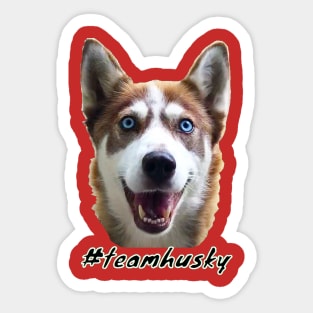 Team Husky Sticker